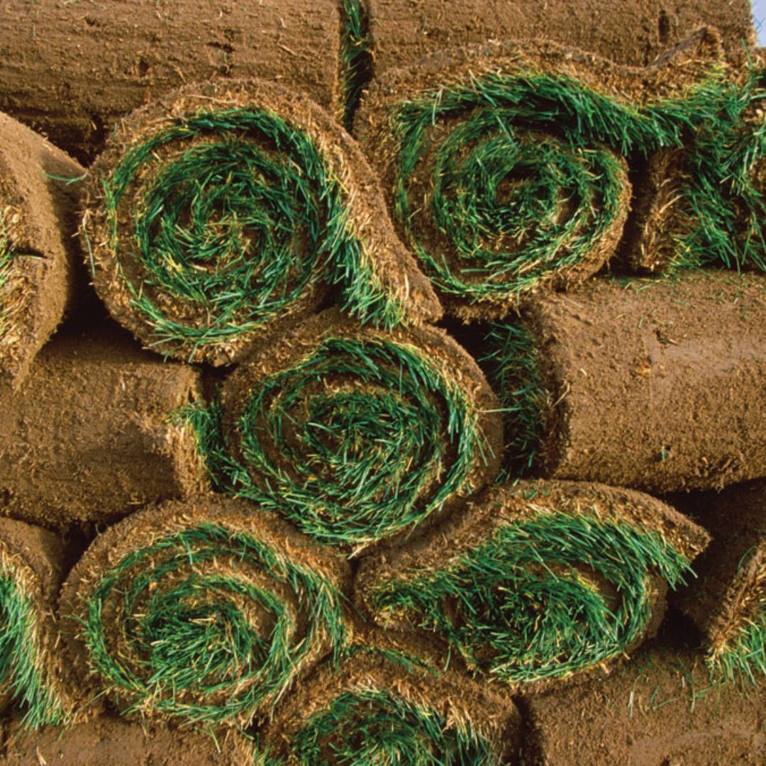 Sod – RTF® Grass – 600 SQFT – DIRECT SHIP